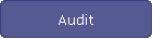 Audit